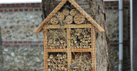 Un hôtel pour les insectes